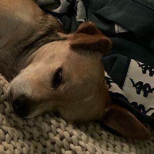 Meet your Posher, Carlyn